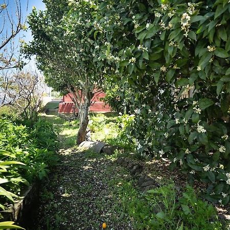 הוילה San Juan del Reparo Casa El Monte מראה חיצוני תמונה